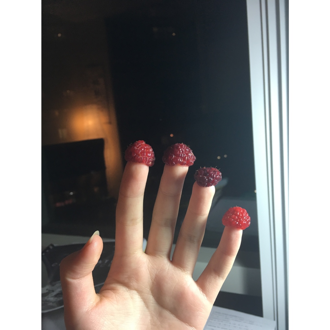 手指树莓❤❤❤