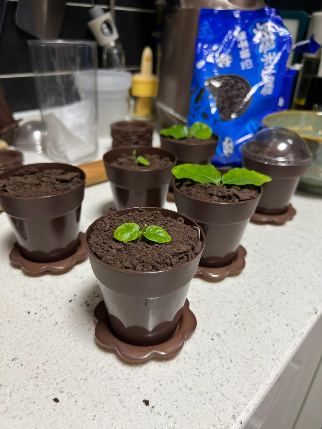 消耗淡奶油神作之一：奥利奥木糠杯