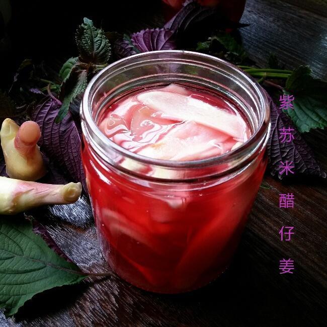 紫苏姜的做法 步骤8