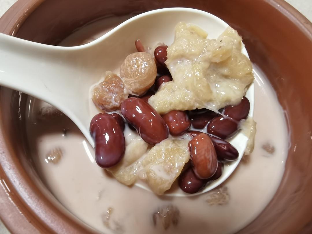 牛奶炖花胶圆肉红腰豆的做法