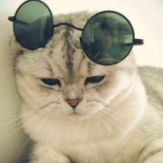 魚十三小姐pearl