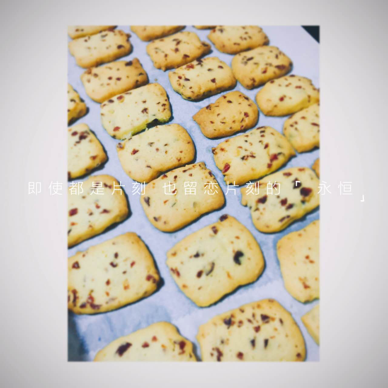 蔓越莓饼干 蔓越莓曲奇