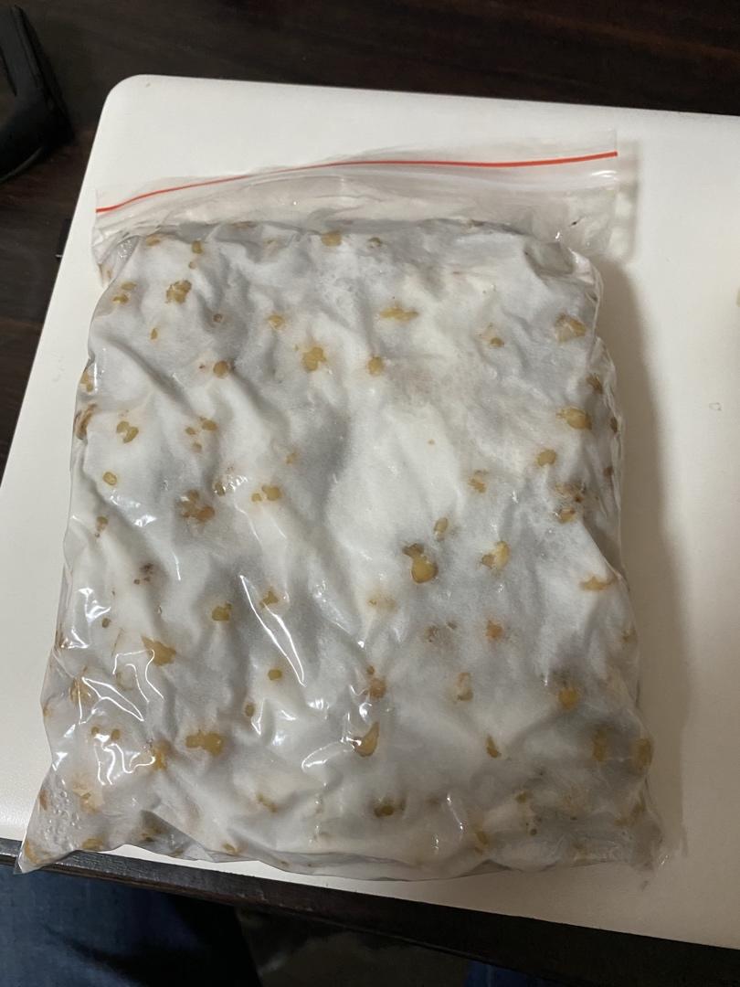自制鹰嘴豆天贝丨发酵·豆类