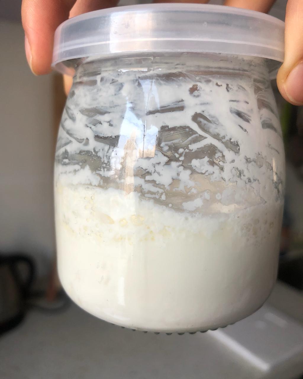 开菲尔酸奶喂养详攻略（milk kefir）丨发酵·奶类