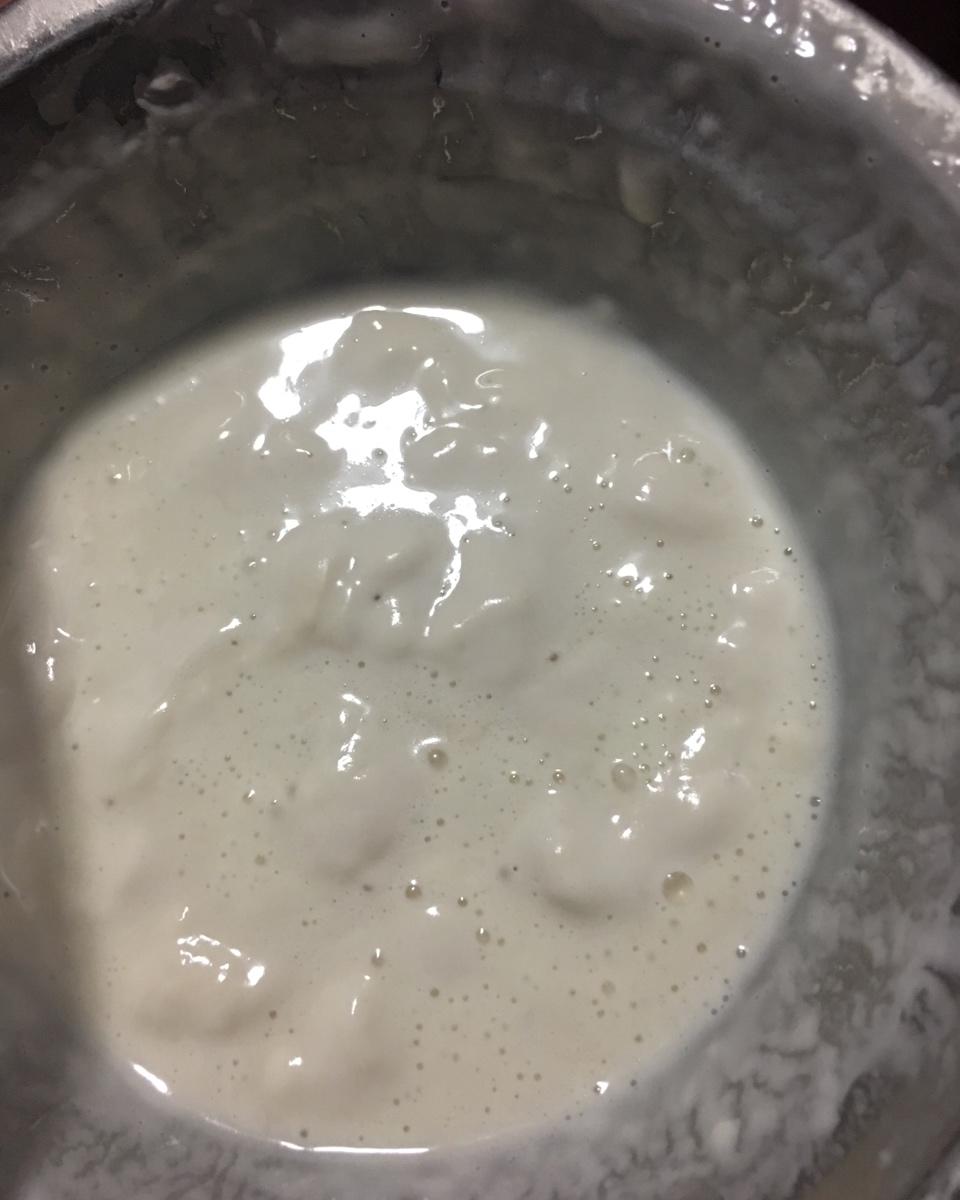 北方老面馒头攻略~从面粉起种开始做