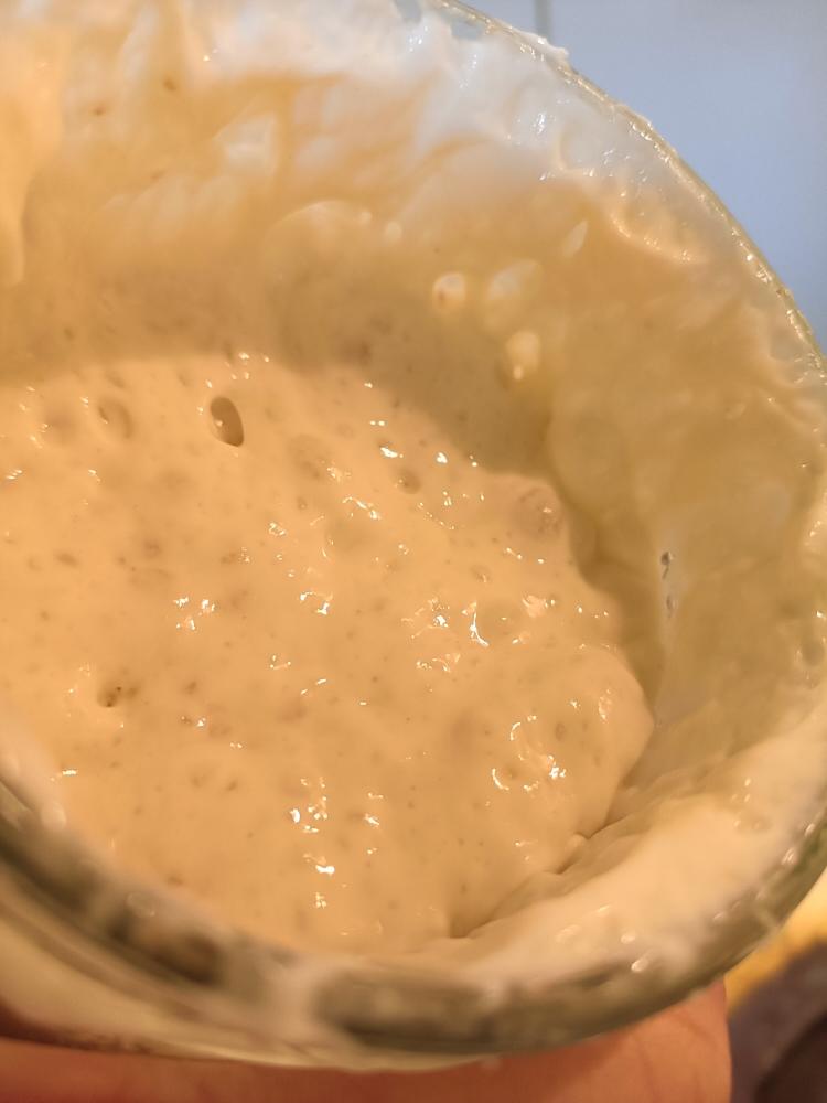 鲁邦种首次喂养成功记录