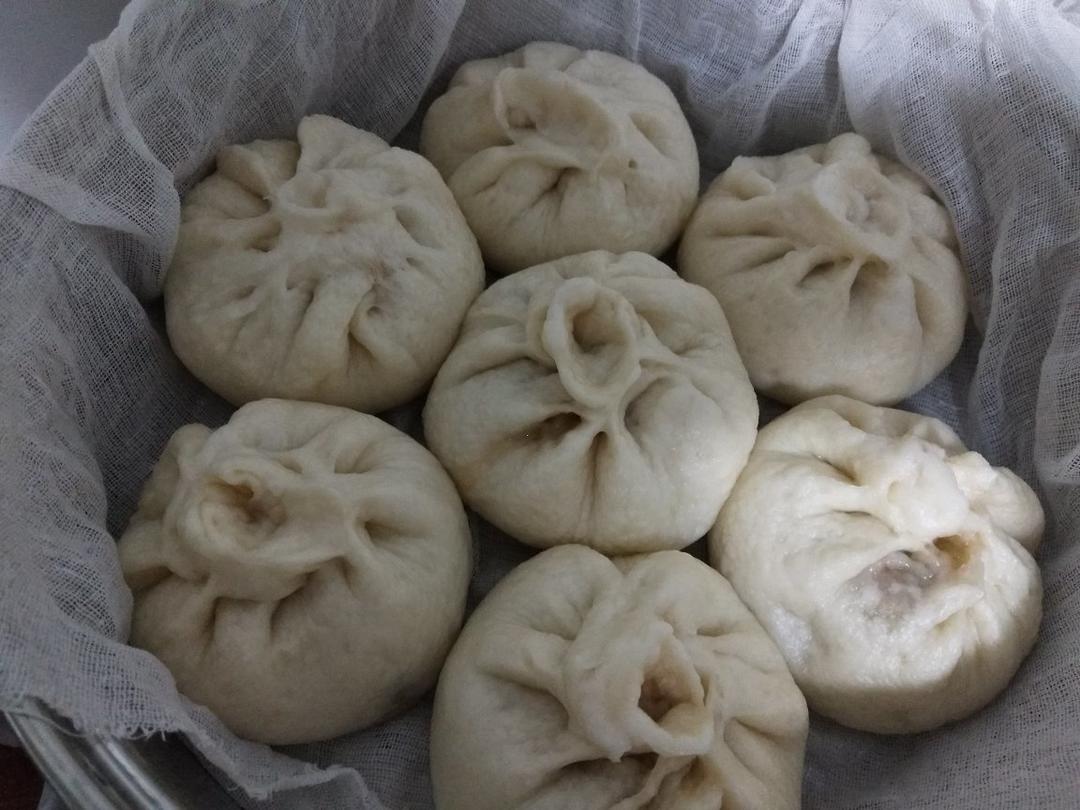 堂妈教你山菜鲜肉大包子