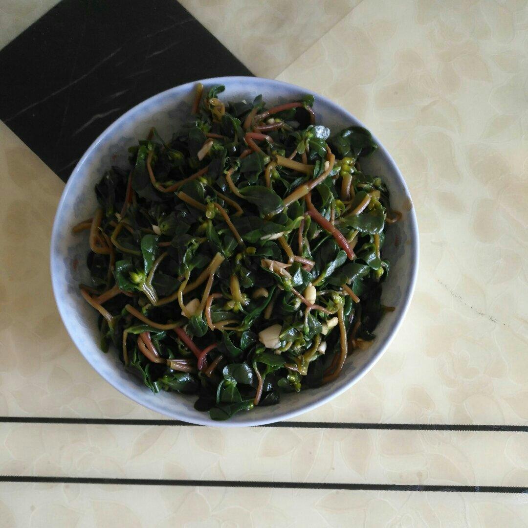 凉拌马马菜（凉拌马齿苋）