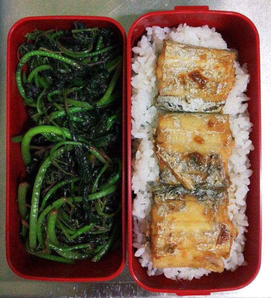 🍱工作日的小确幸🍱（便当记录日志）