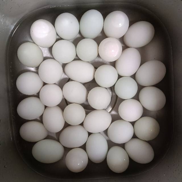 100%出油，原来流油的咸鸭蛋是这样做的——自制咸鸭蛋（多动图，孔瑶的食谱）