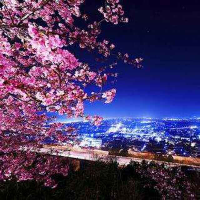 蓝色多瑙河余音