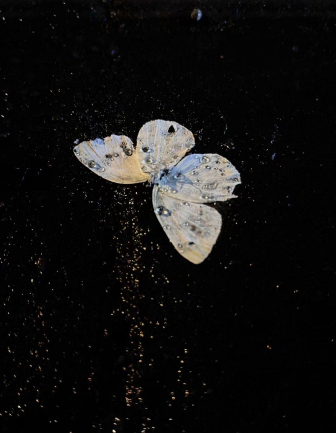 会做饭的男高中生