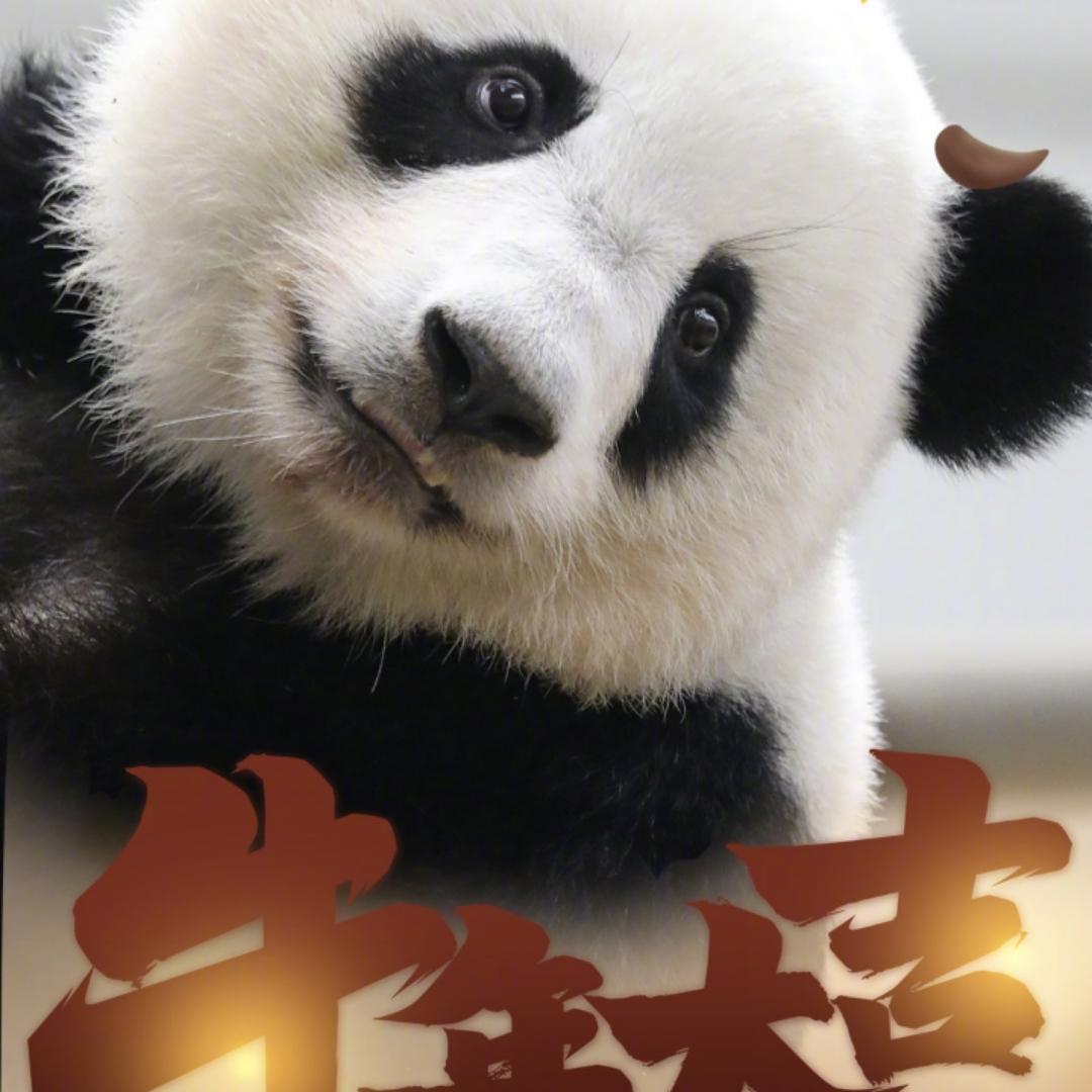 厨房里的陈温柔