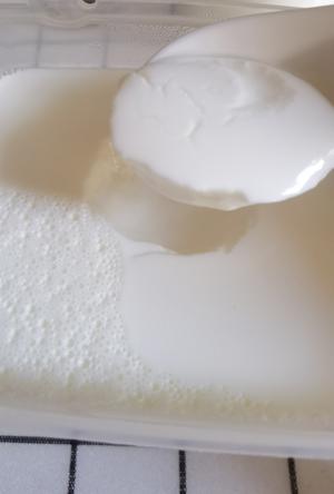 自制酸奶（免酸奶机）的做法 步骤7