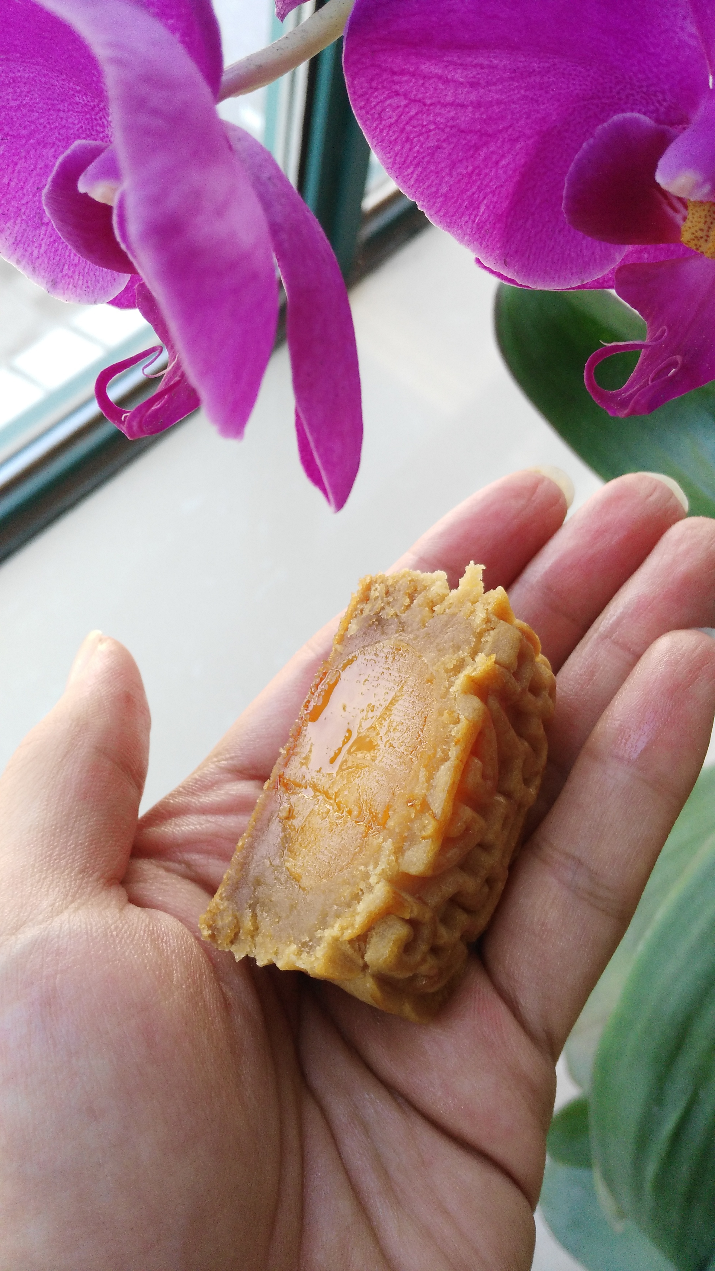 广式月饼——蛋黄莲蓉月饼