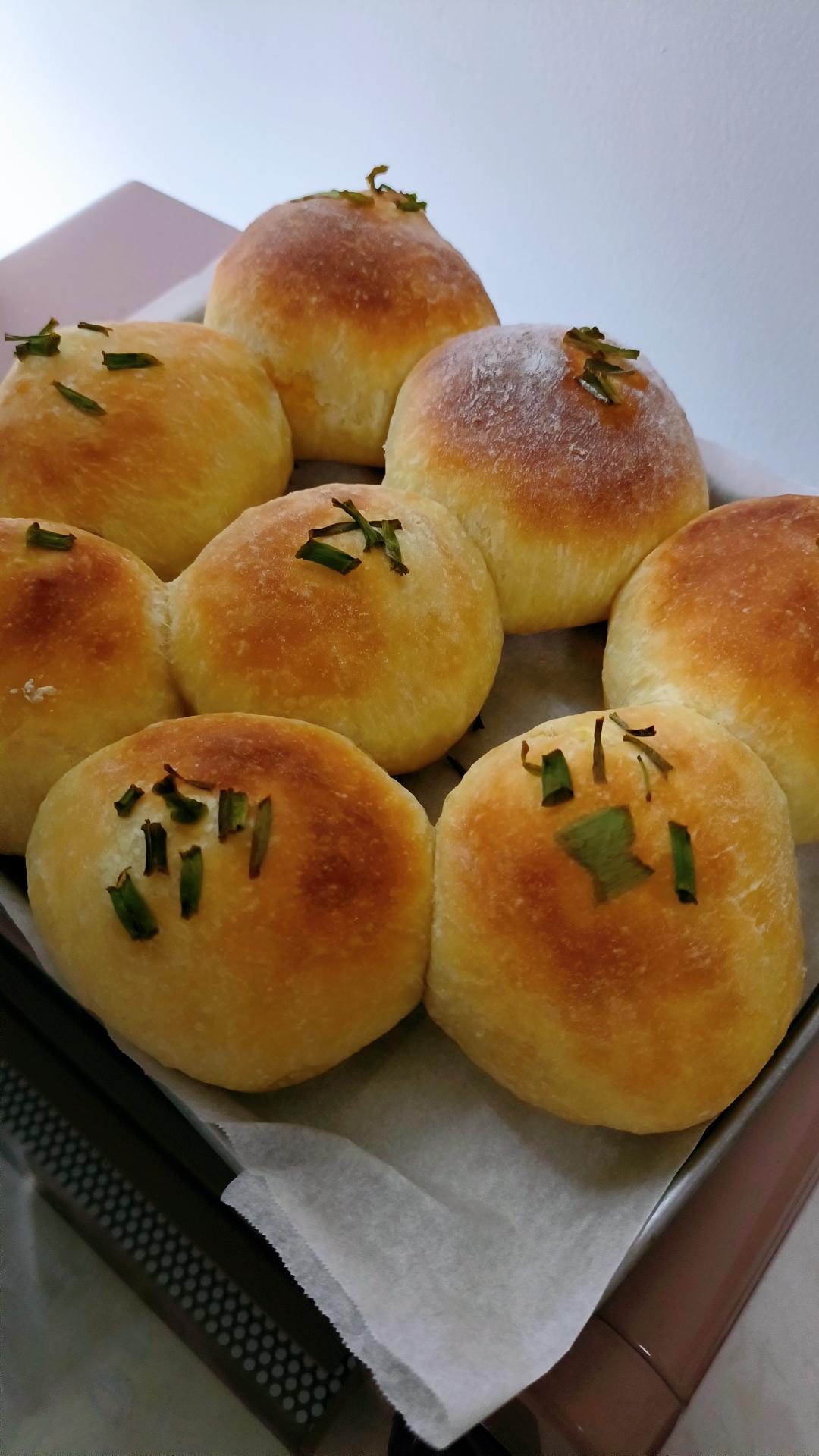 牛奶肉松小餐包（一次发酵）