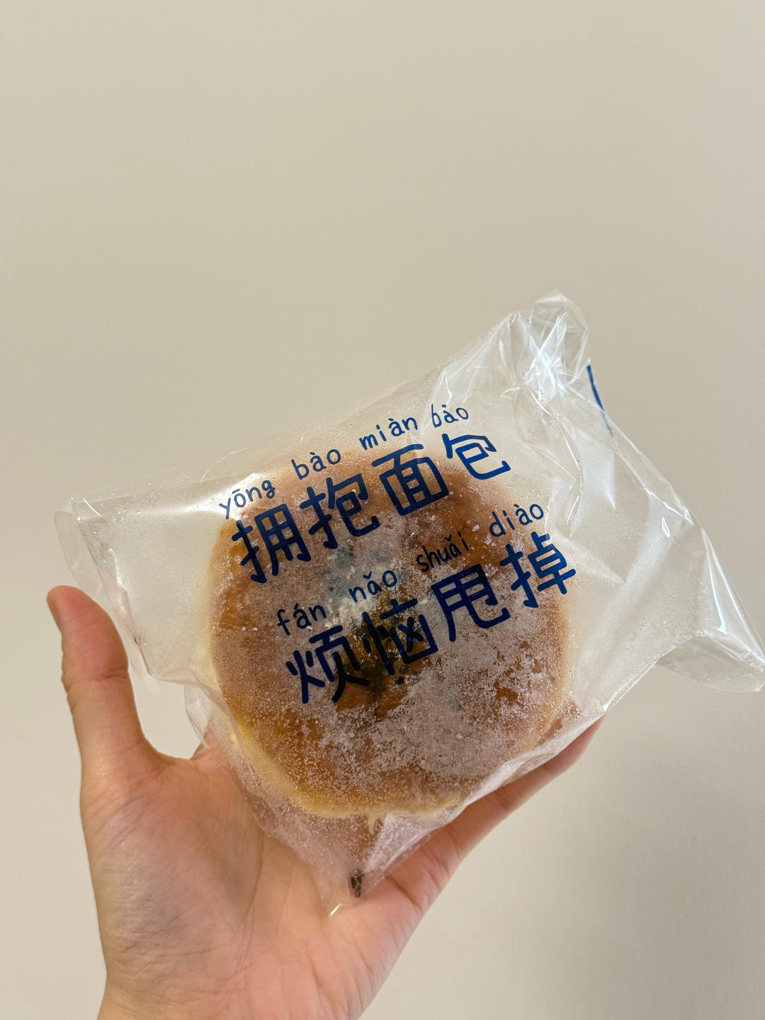 鲜奶红豆包