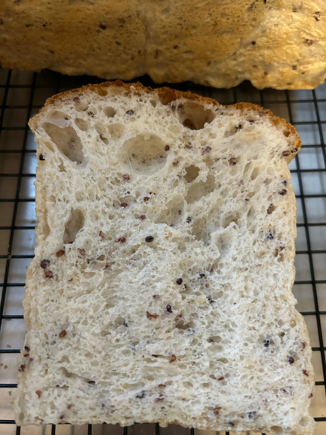 这藜麦吐司我连吃一周！无糖无油比全麦更好吃