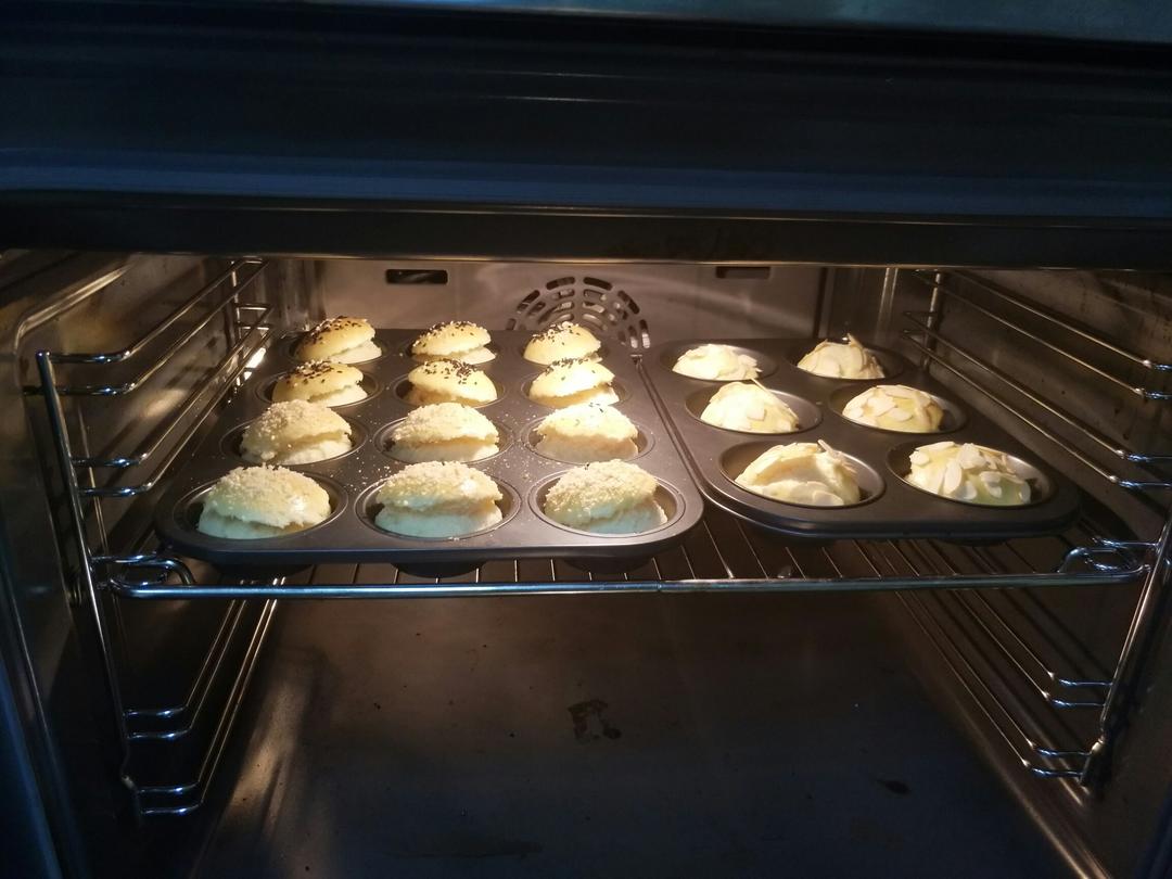 鲜奶油小餐包（一次发酵）