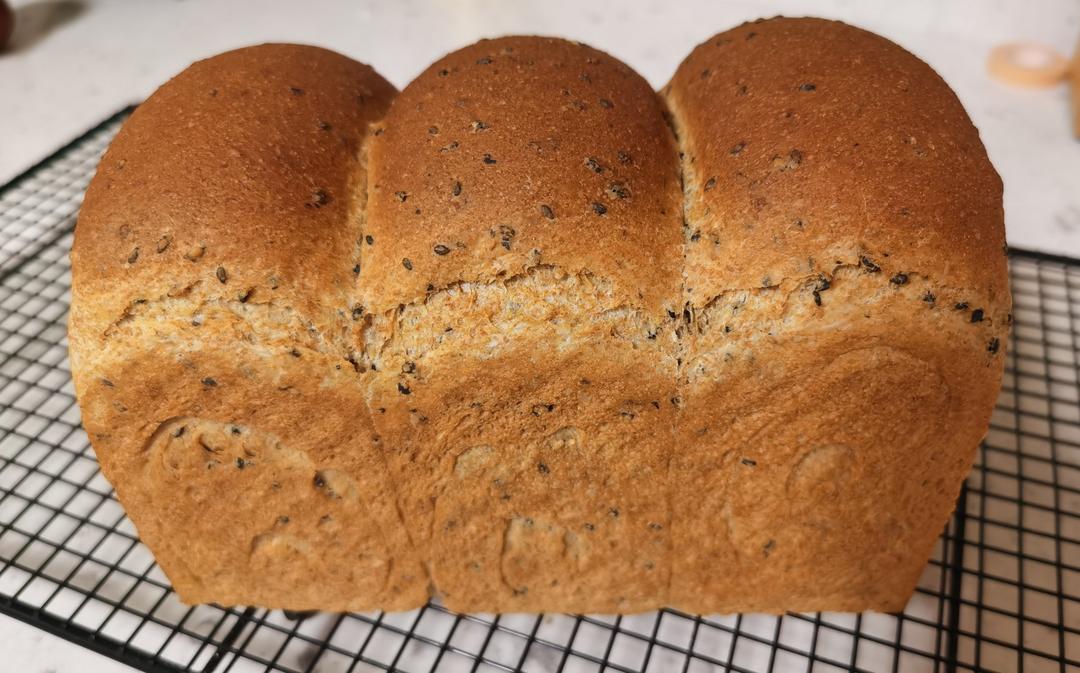 双种芝麻全麦吐司 100%全麦 烫种+波兰种