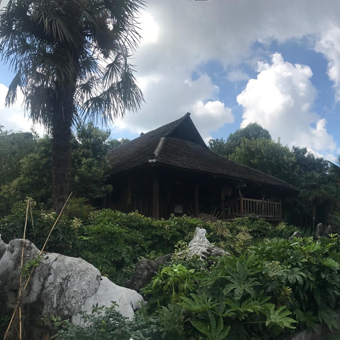 一个吃货的世界哈