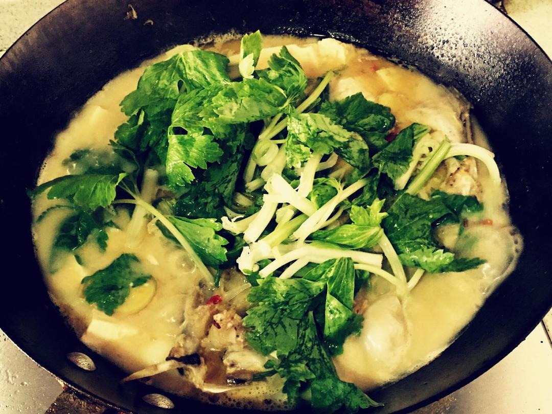 鱼头炖豆腐