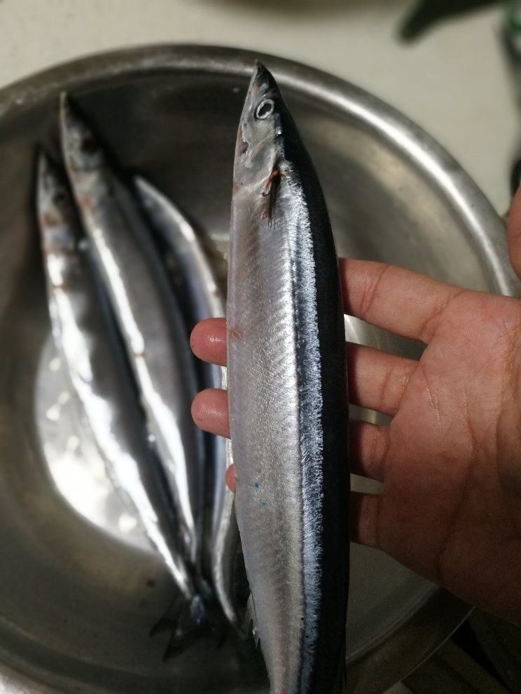 烤秋刀鱼的做法 步骤1