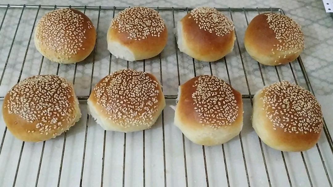 自制营养肉饼汉堡包