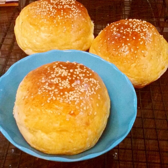 汉堡胚（中种法）