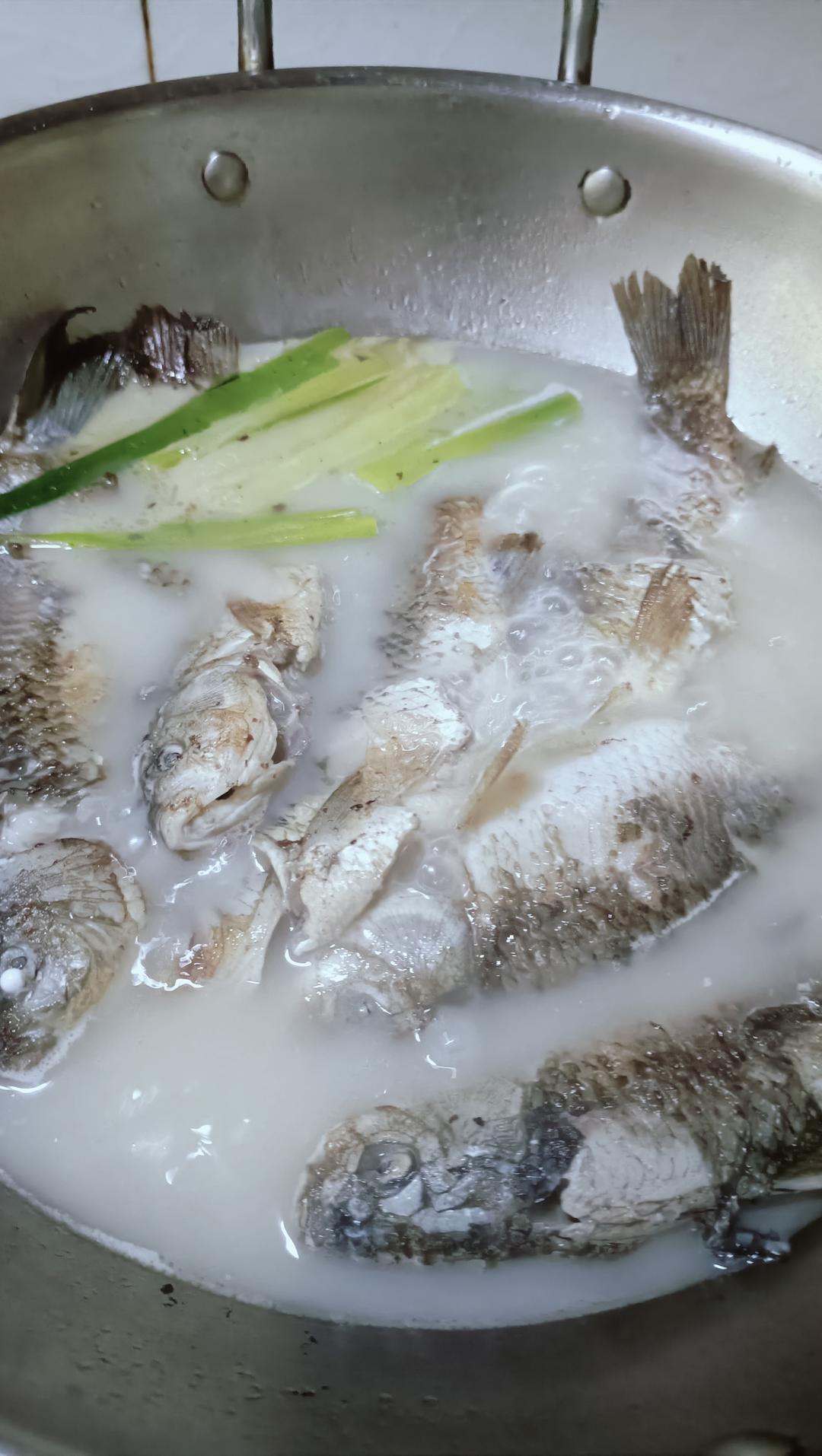 野生鲫鱼汤的做法