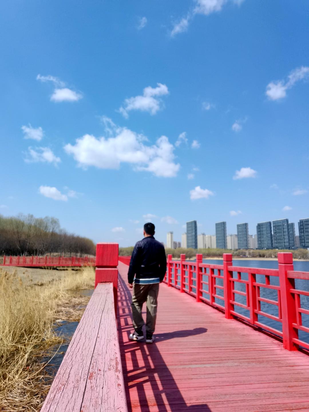 没有一点厨艺基础