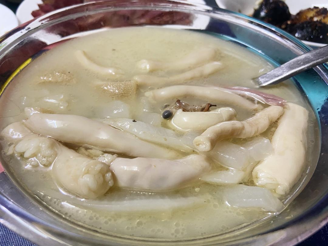 鱼羊一锅鲜（砂仁萝卜羊杂汤）