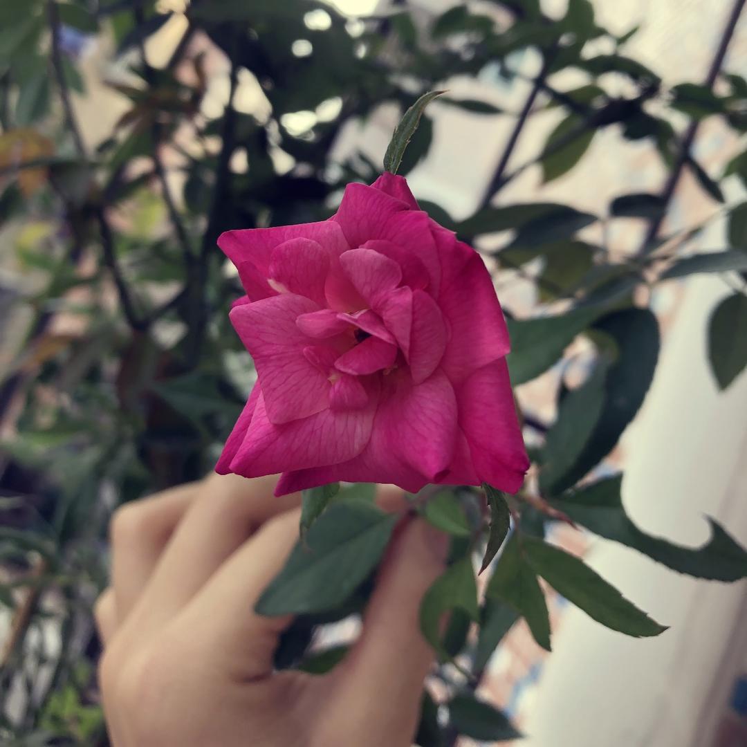童yimei