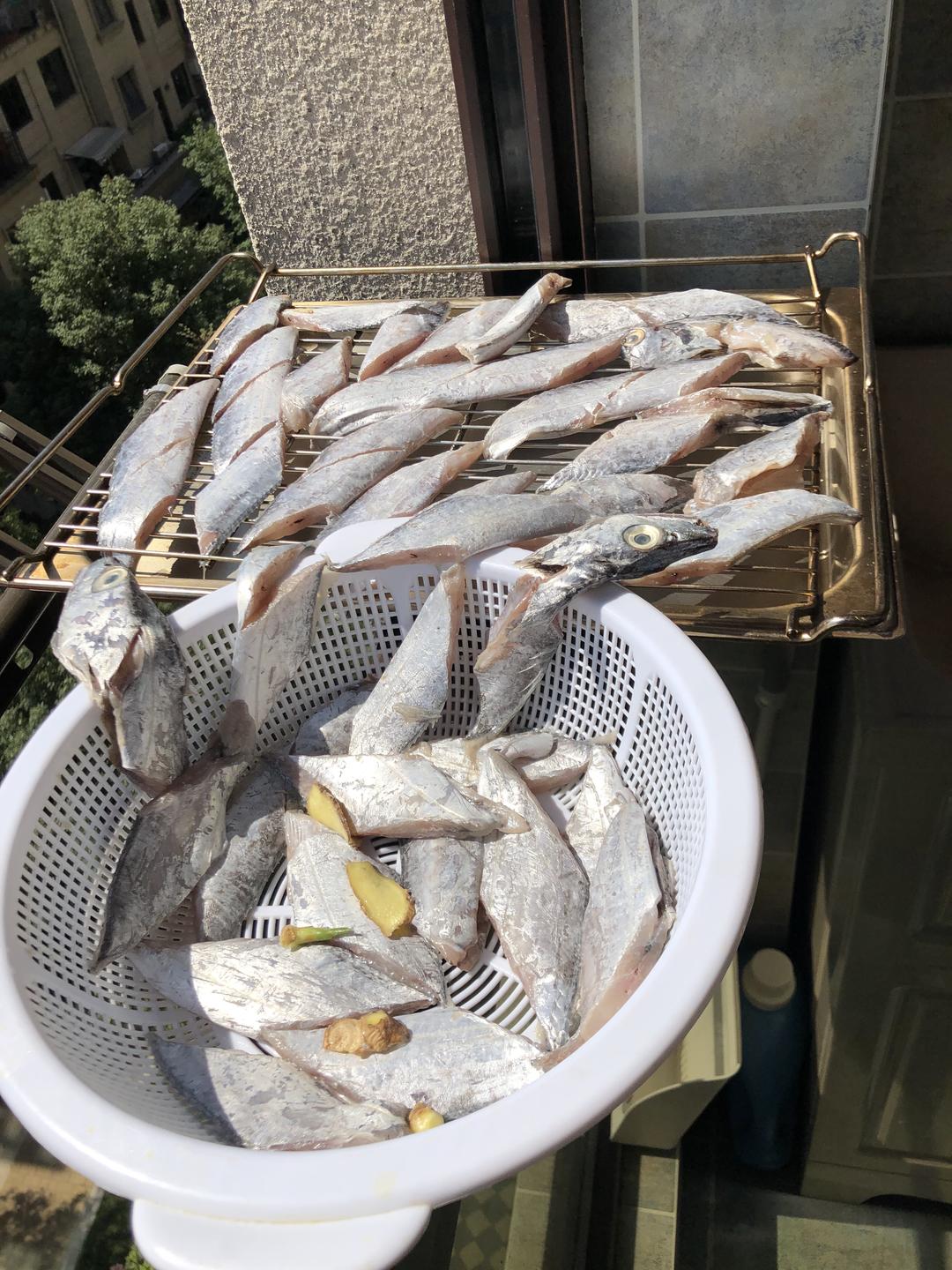 湿带鱼干