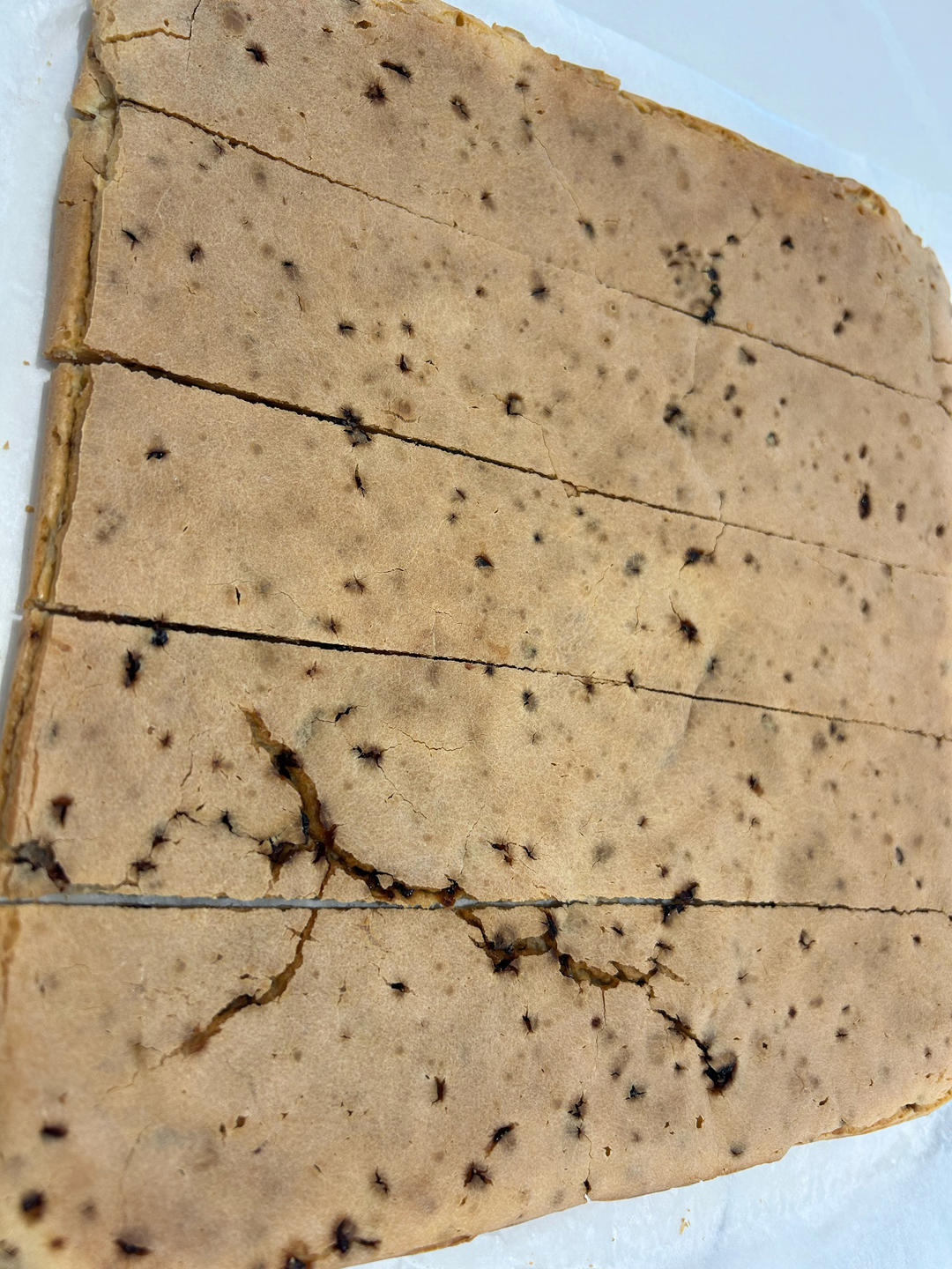 🔥无需揉面！酥到掉渣的蔓越莓烤年糕！