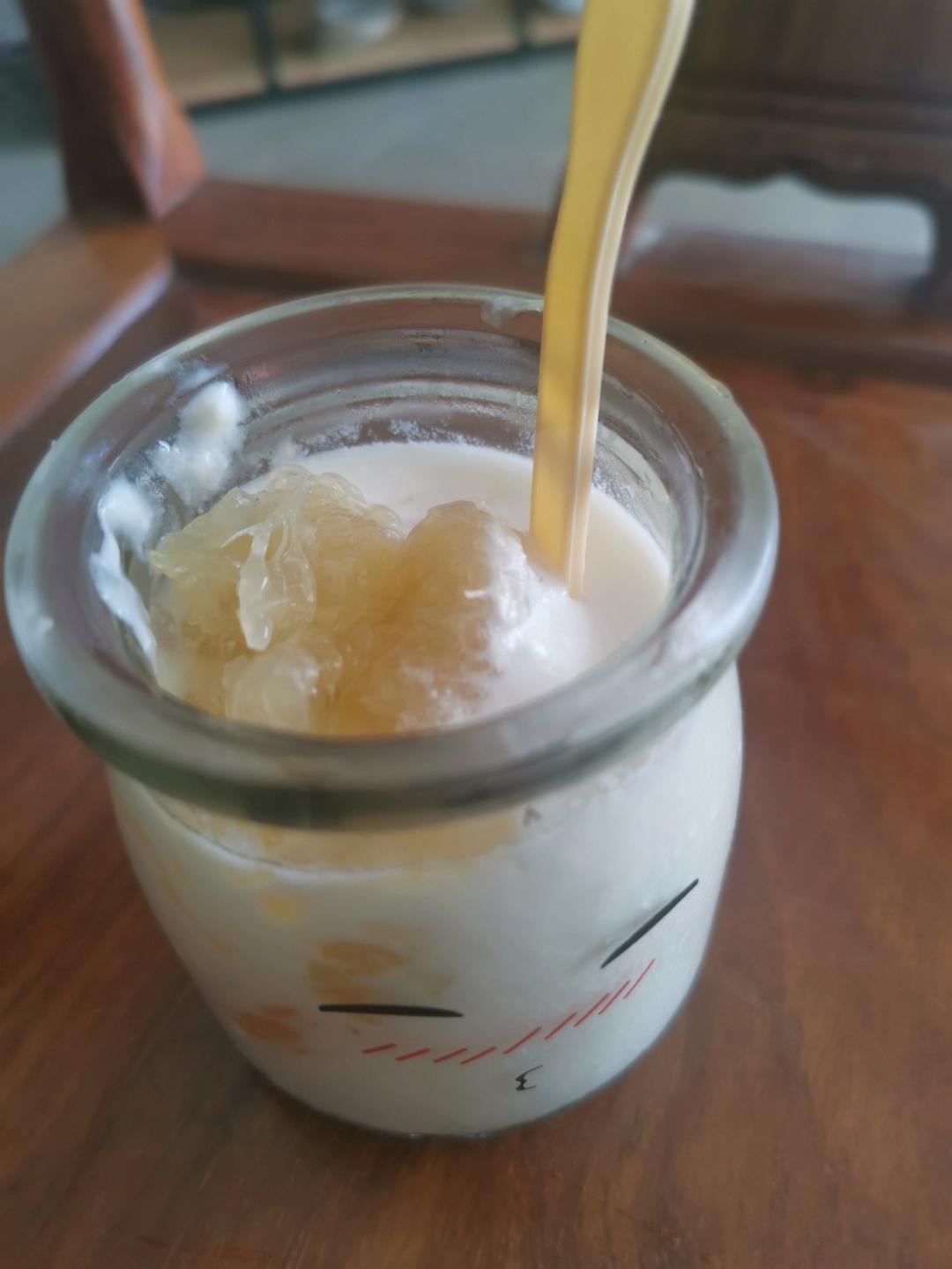 超级好吃的自制酸奶比例！——卡士酸奶在家做