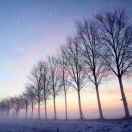 手机用户5315_5v07