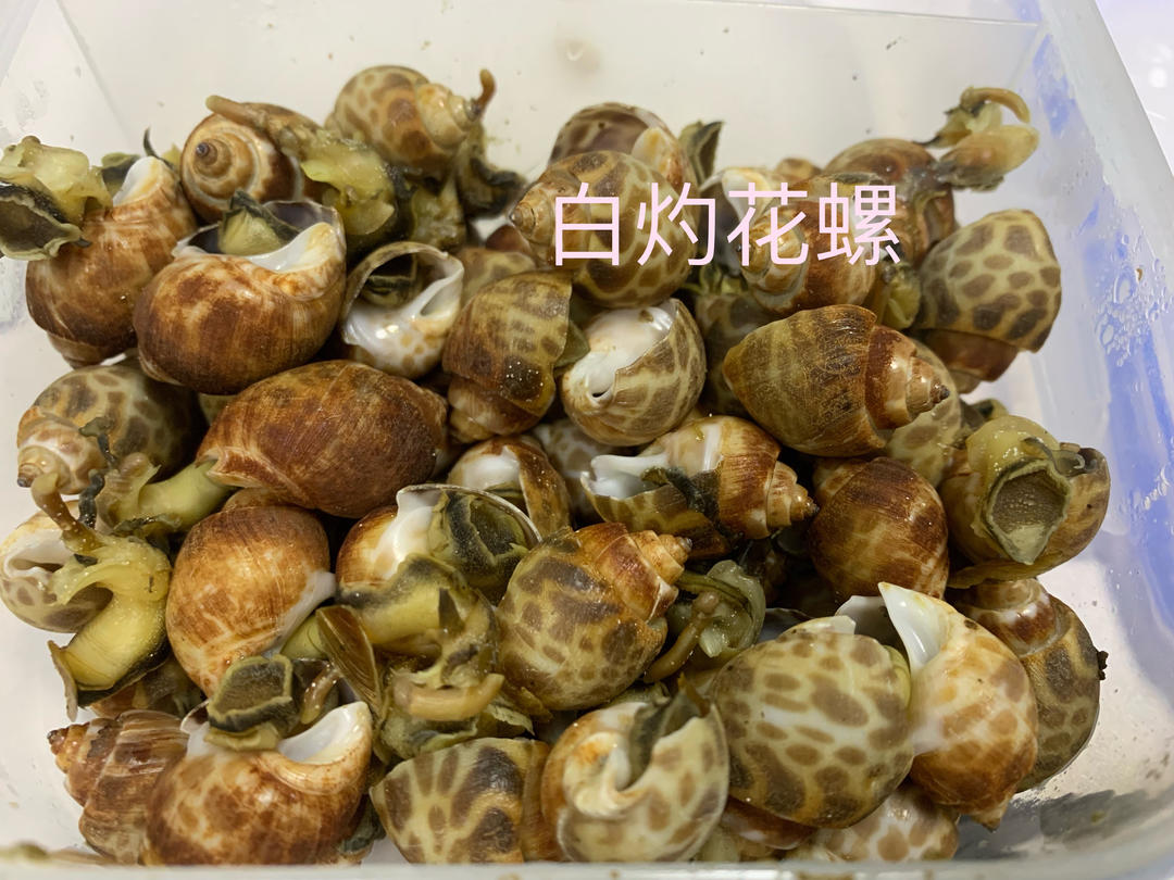 白灼花螺