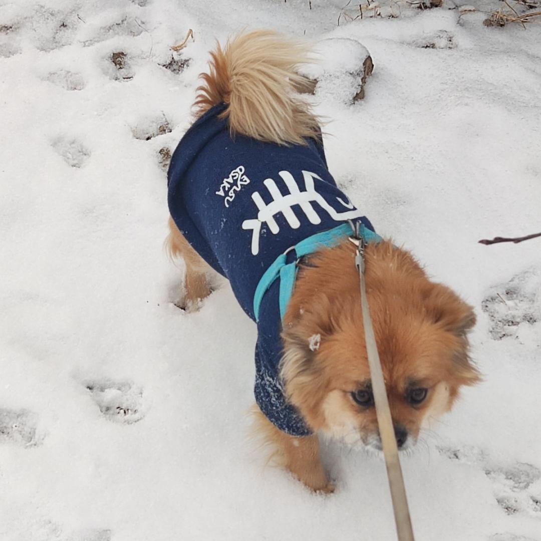 下厨房用户_03ska