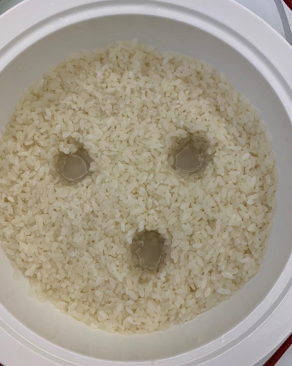 自制甜酒酿