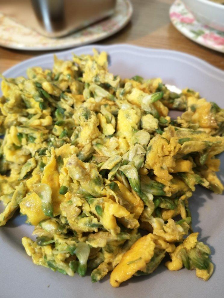 刺猬大王做的槐花炒鸡蛋不焯水需断生老爸说有他儿时的味道