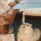 手机用户1211_hglt