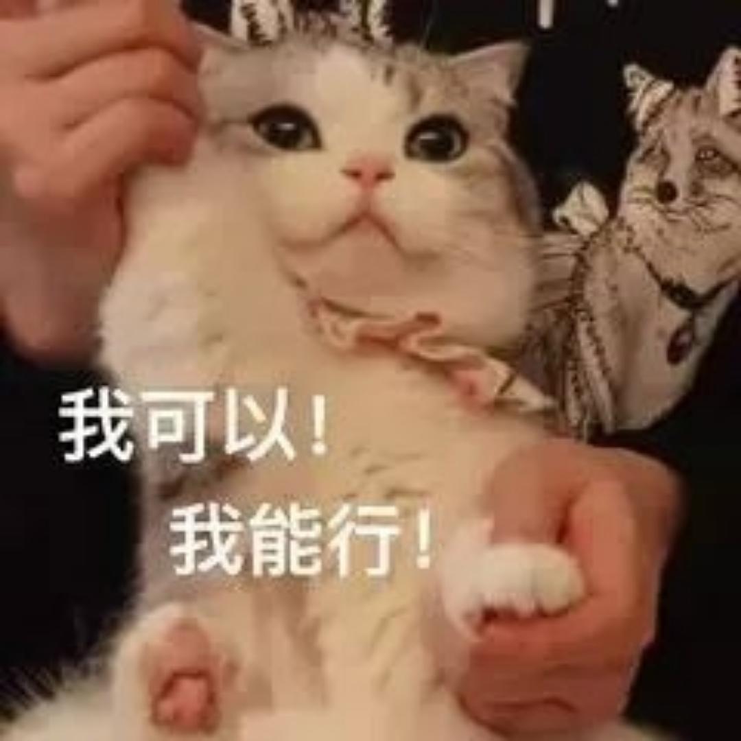 理理埔