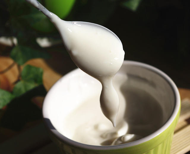 酸奶机自制老酸奶的做法