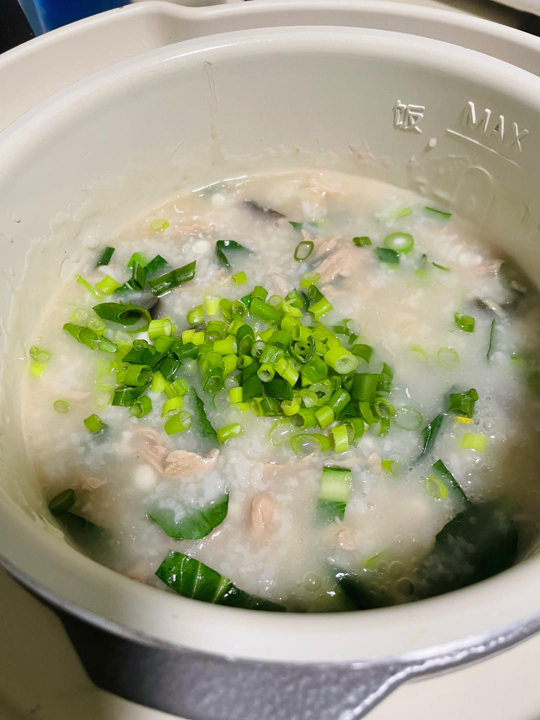 中式主食47:  電高壓鍋版皮蛋瘦肉粥