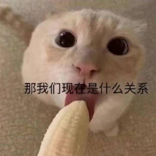 那我们现在是什么关系