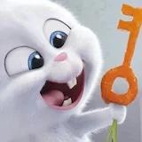 璇儿在秋天看枫叶