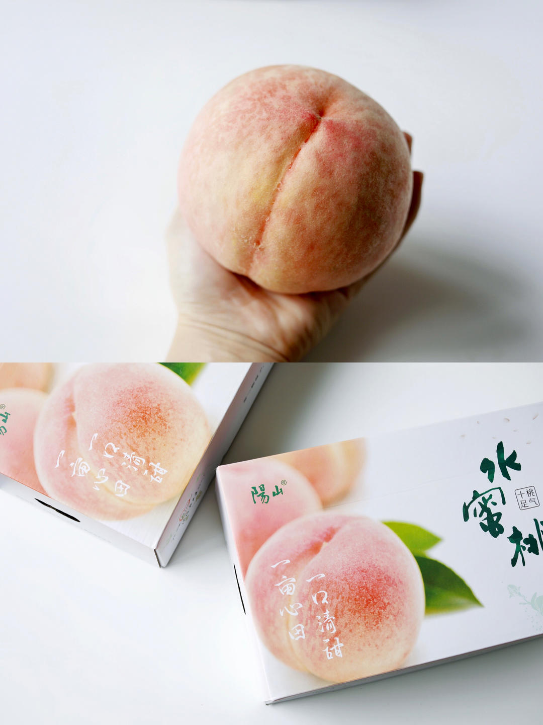 🥄上的星光✨