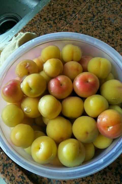 橘子的香味做的腌李子(详细步骤图)