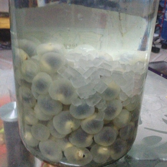 桂圆酒